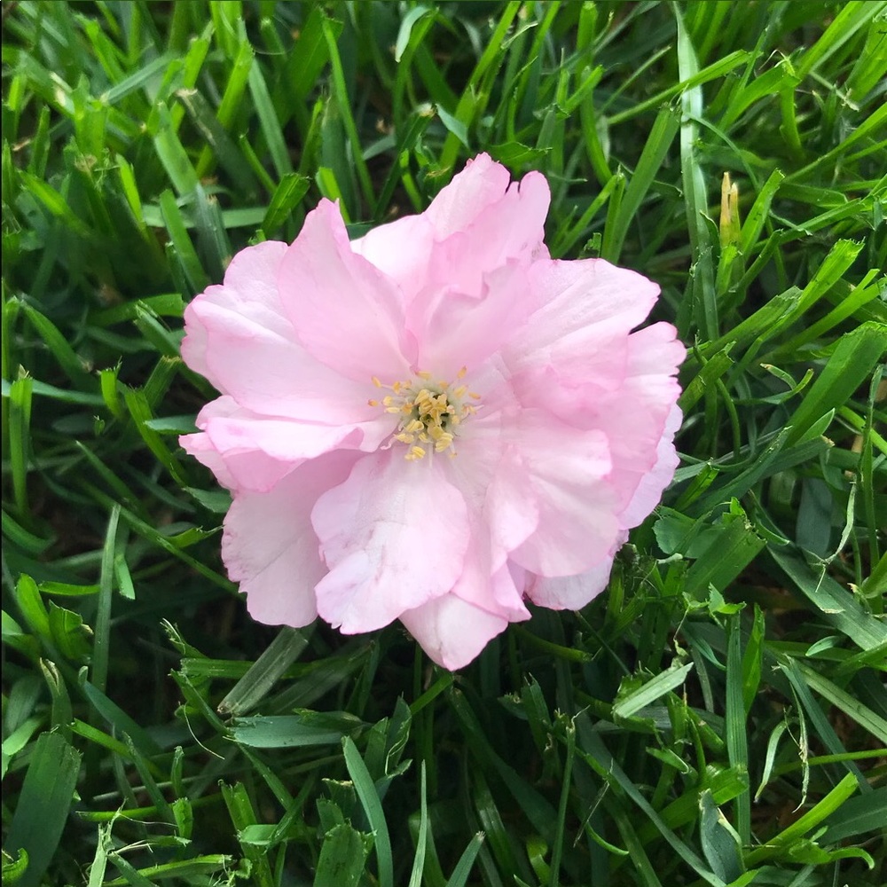 Meet your Posher, Gabi